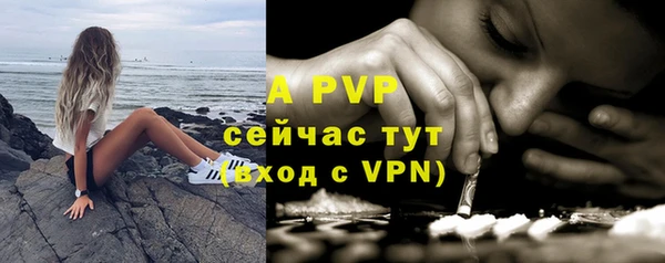 индика Абаза