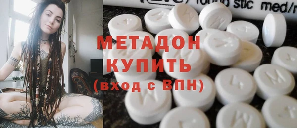 индика Абаза