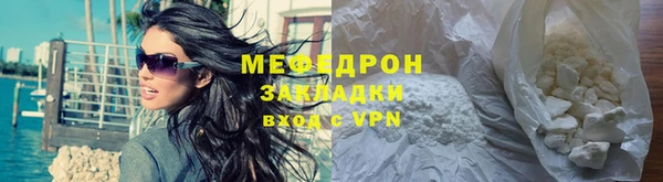 индика Абаза