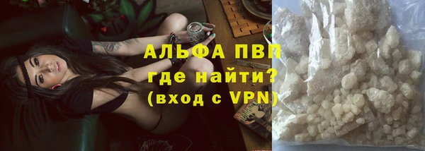 индика Абаза