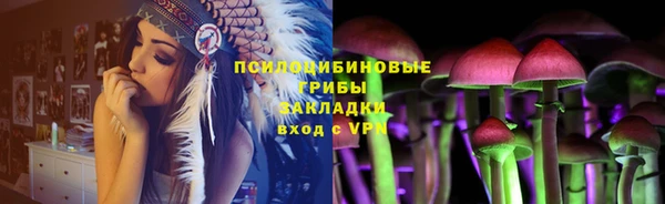 индика Абаза