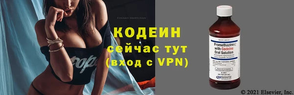 индика Абаза