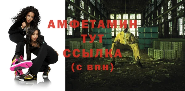 индика Абаза