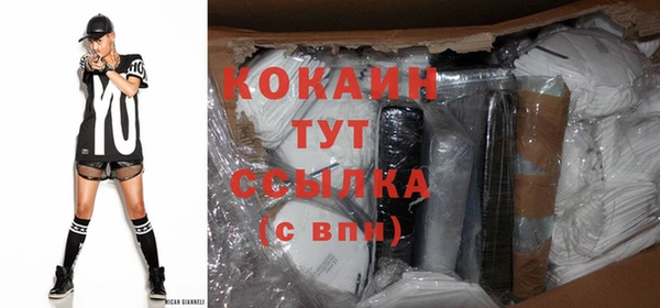 индика Абаза