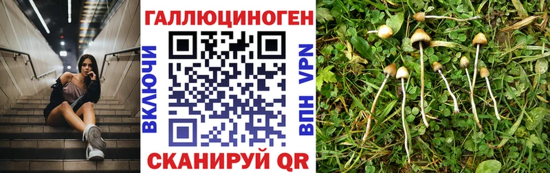 Галлюциногенные грибы прущие грибы  мега маркетплейс  Суоярви 